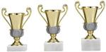 STAND COMPETITIE